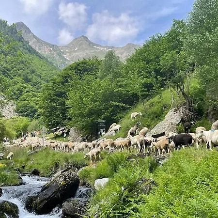 Domaine De Loli Ferienhaus Saint-Girons (Ariege)